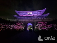 2025 수원화성 미디어아트 축제 관람객 51만여명 밤의 산책 나섰다