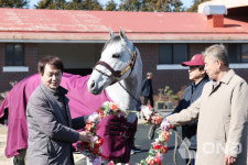 한국마사회 제주목장, 2026년 교배 무사고 기원제 및 닉스고 환영식 개최