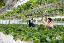 밀양시, 2026년 달라지는 시책 및 제도 ④ 지역경제·농업