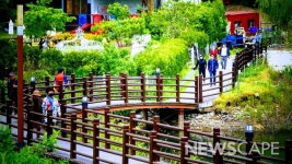 [포토] 집콕 탈출, 봄기운 느끼며 고모리 호수변 걷는 포천시민들