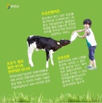 연천군, 한우 송아지 초유은행 운영