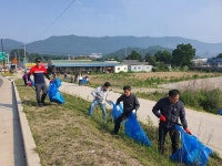 포천시 선단동, 선단교차로 부근 포천천 대청소 실시