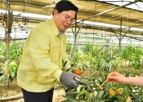 장성군, 국립 아열대작물 실증센터 장성 유치 확정