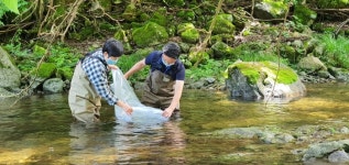 가평천에 국내 고유종 미유기 치어 1만 마리 하천 방류. 대량 생산 길 열어