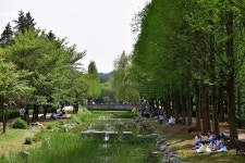 오산 ‘물향기수목원’ 미세먼지 저감 효과 탁월해