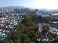 대구 서구 어린이도서관, ‘책숲 에코 탐험대’ 프로그램 운영