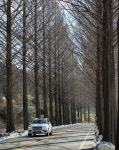 [시선을 바꾼 車여행] 패밀리카 볼보 XC90과 함께했던 힐링 순창