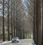 [시선을 바꾼 車여행] 패밀리카 볼보 XC90과 함께했던 힐링 순창