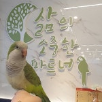 앵무새카페창업 리프패럿 가맹점대상 월세, 마케팅 비용 지원