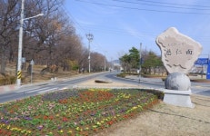 경산시 자인면 꽃길따라 걸으면 어느새 내 마음에도 꽃이 한가득