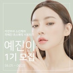 하예진 코스메틱 뷰티 서포터즈 예진이 1기 모집