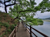 코로나19 시대 힐링 명소, 송정산 산책로 공간 조성