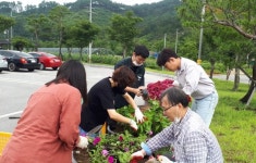 상주 내서면행정복지센터 직원일동 꽃모 심어