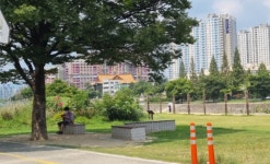 대구시 신천둔치, 폭염기간 시원한 얼음물 나눔터 운영