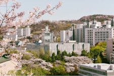 직장인 사회복지사자격증 취득 희망자, 중앙대학교 미래교육원에 지원