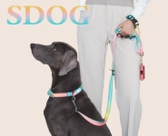 스페이스독(SPACEDOG), 3가지 이벤트 진행