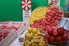 (재)영주문화관광재단 2021영주사과축제 라이브커머스