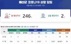 [위드코로나] 2명 추가 확진 … 예산군 누적 246명