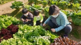 캠핑부터 농장 체험까지, 금천 힐링가족 캠핑농장 개장