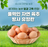 [N잡_앱테크] 유나네 농장 유정란, 14일 캐시닥 돈버는퀴즈 정답