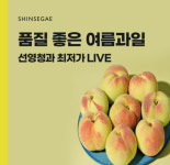 [N잡_앱테크] 신세계백화점 선영청과, 21일 캐시닥 돈버는퀴즈 정답