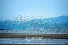 서천군, 갯벌 세계자연유산 보전본부 서천군이 최적