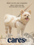 콤마스컴퍼니, 반려동물 슬개골 보호대 케어 브랜드 케어즈(cares) 론칭