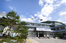 정선군, 건강·휴식·치유·체험 웰니스 관광지 각광