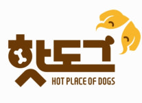 반려동물 포털앱 핫도그 런칭 6개월, 앱 사용자 증가율 30% 지속