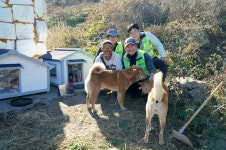 (주)코스틸과 황도이장TV가 함께 한 반려견에게 해피하우스 선물하기 프로젝트