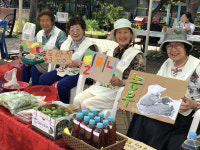 파주 헤이리서 로컬푸드마켓 햇빛장 열린다...매월 첫째주 주말