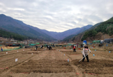 대구광역시, 공영도시텃밭 가꿀 도시농부 모집