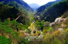 순창군, 오는 4월부터 강천산·용궐산 하늘길 무료입장 65세→70세로 상향