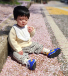 [포토] 충주 신나는어린이집 원생 벛꽃나들이 생애 첫 벚꽃 나들이 감상 중