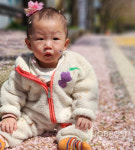 [포토] 충주 신나는어린이집 원생 벛꽃나들이 애들아 벚꽃은 처음이지?