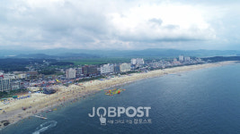 반려동물 친화관광도시 보령, 대천해수욕장 펫비치 운영