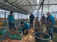 임실군, 폭설 피해 농장 찾아 작물 관리 현장 지도 강화