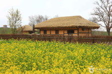 서산에 이런 곳이? 놓치면 아쉬운 여행지 추천
