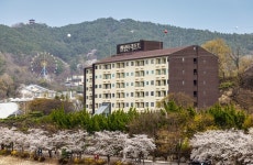이랜드파크 켄싱턴리조트 지리산남원, 벚꽃 버스 투어 출시