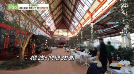 파주 동백나무 대형카페, 1만 3천 평 규모의 이색 핫플레이스