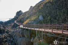 영덕군 전역 산불 확산… 강구면·남정면 주민 포항 방향으로 긴급 대피 명령