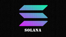 솔라나(SOL), 8% 하락…거래량은 130% 급증