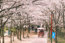 이랜드파크 켄싱턴호텔앤리조트, 야외 체험형 패키지 출시...지역별 콘텐츠 강화