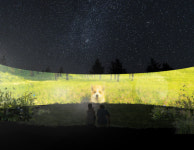 반려동물 장례식장 몽몽이엠파크 본관 증축 및 리모델링 완료