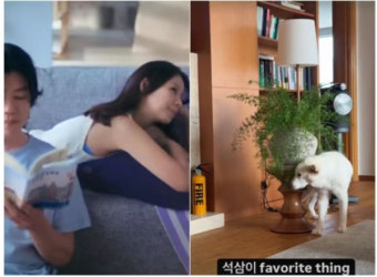 이효리, 60억 평창동 집 일상 공개 반려견 석삼이와의 따뜻한 순간