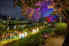 2025 도봉별빛축제 6월 13일 개막…중랑천 따라 빛과 낭만이 흐른다