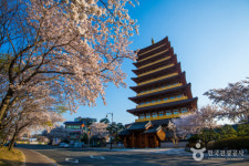 경주 가볼만한 곳, 무더위 속 시원한 역사 여행 황룡사·보문단지 추천