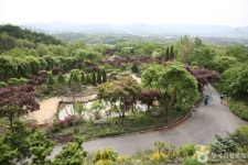 용인 가볼만한 곳, 아이들과 함께 즐거운 추억 만들기