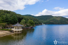 구미 가볼만한 곳, 금오산의 자연과 도시의 매력을 동시에