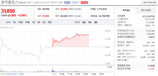 원익홀딩스, 11월 10일 장중 31,850원 5.99% 상승 거래